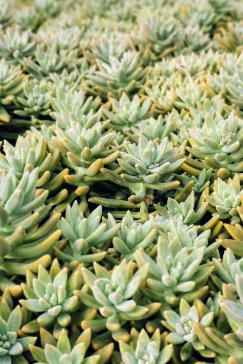 original_2c349b17-ea3d-46e6-ae03-755ad4d208c5_IMG_20201122_131147