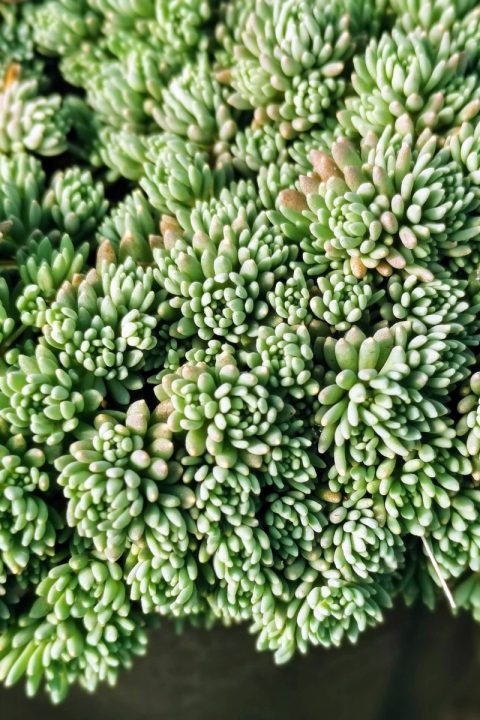 original_9b0761f7-b085-470f-ab32-feefea2cb775_IMG_20201122_130357